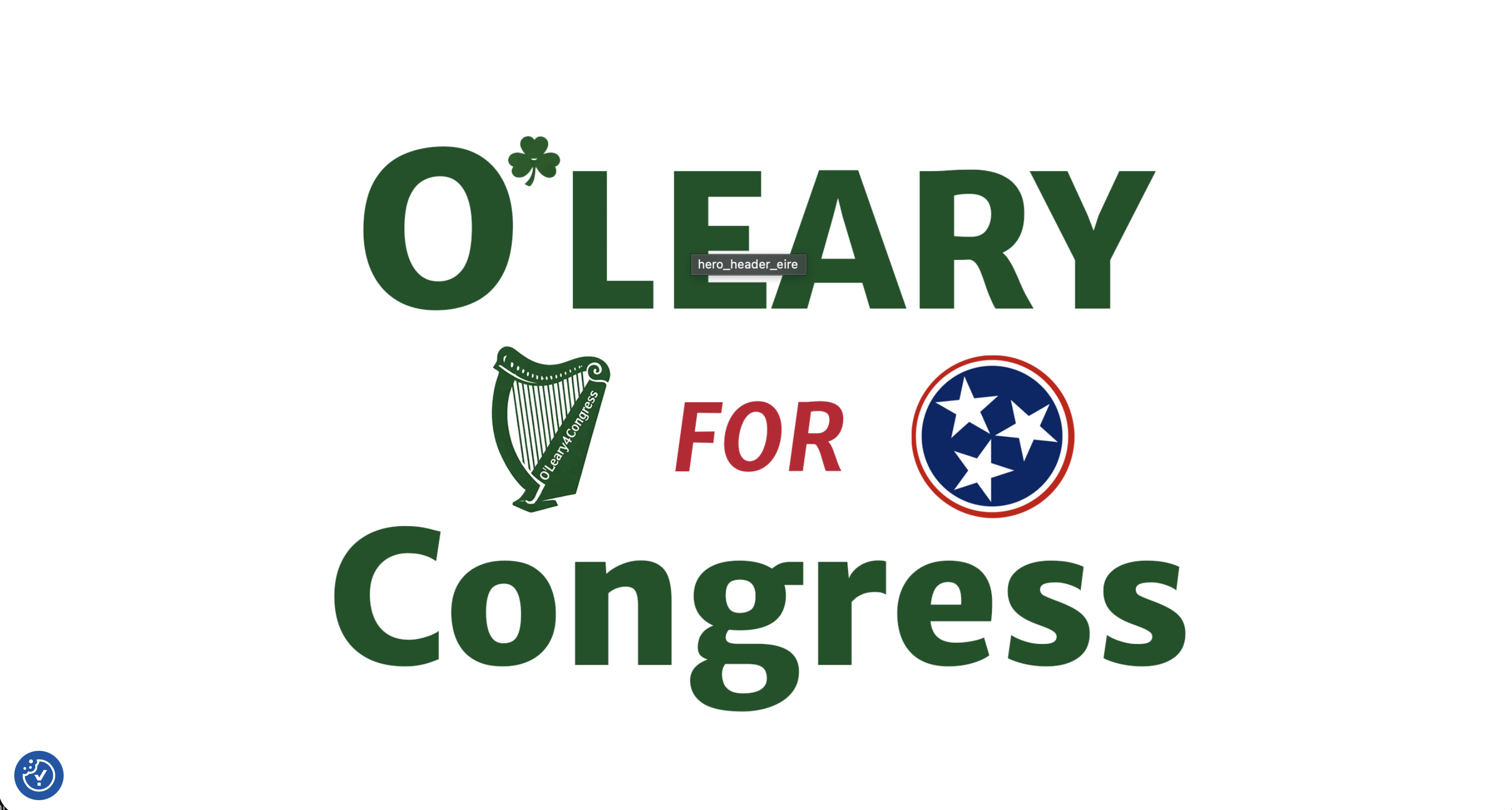 O'Leary for Congress website preview